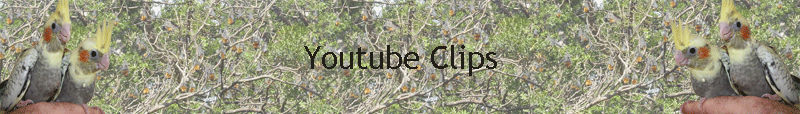 Youtube Clips